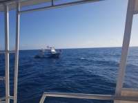 Great day of scuba diving in Key Largo with Rainbow Reef on spiegel grove tropical serenity 2018 12 03 r7566 1