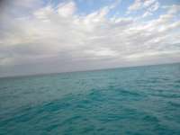Great day of scuba diving in Key Largo with Rainbow Reef on spiegel grove tropical voyager 2018 12 15 r7613 1