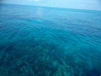 Great day of scuba diving in Key Largo with Rainbow Reef on uscgc duane tropical explorer 2018 12 16 r7617 1