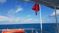 Great day of scuba diving in Key Largo with Rainbow Reef on benwood wreck tropical legend 2018 02 04 r5375 1