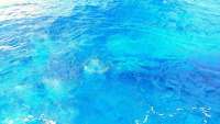 Great day of scuba diving in Key Largo with Rainbow Reef on benwood wreck tropical legend 2018 02 18 r5448 1