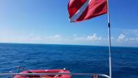 Great day of scuba diving in Key Largo with Rainbow Reef on benwood wreck tropical odyssey 2018 02 13 r5416 1