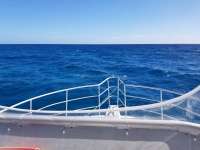 Great day of scuba diving in Key Largo with Rainbow Reef on benwood wreck tropical odyssey 2018 02 14 r5420 1