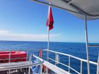 Great day of scuba diving in Key Largo with Rainbow Reef on benwood wreck tropical odyssey 2018 02 27 r5472 1