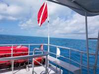 Great day of scuba diving in Key Largo with Rainbow Reef on benwood wreck tropical odyssey 2018 02 28 r5477 1