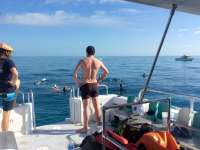 Great day of scuba diving in Key Largo with Rainbow Reef on crf nursery tropical explorer 2018 02 05 r5378 1