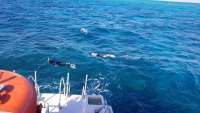 Great day of scuba diving in Key Largo with Rainbow Reef on eagle ray alley tropical legend 2018 02 01 r5349 1