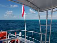 Great day of scuba diving in Key Largo with Rainbow Reef on eagle ray alley tropical legend 2018 02 03 r5366 1