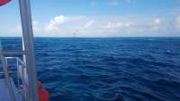 Great day of scuba diving in Key Largo with Rainbow Reef on eagle ray alley tropical legend 2018 02 09 r5399 1