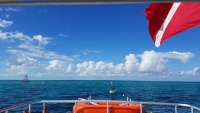 Great day of scuba diving in Key Largo with Rainbow Reef on eagle ray alley tropical legend 2018 02 17 r5443 1