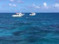 Great day of scuba diving in Key Largo with Rainbow Reef on eagle ray alley tropical legend 2018 02 25 r5462 1