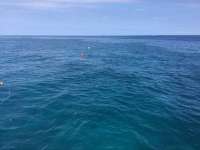 Great day of scuba diving in Key Largo with Rainbow Reef on eagle ray alley tropical voyager 2018 02 05 r5381 1