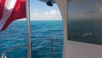 Great day of scuba diving in Key Largo with Rainbow Reef on eagle ray alley tropical voyager 2018 02 08 r5394 1