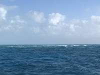 Great day of scuba diving in Key Largo with Rainbow Reef on fire coral cave tropical legend 2018 02 11 r5408 1