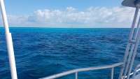 Great day of scuba diving in Key Largo with Rainbow Reef on fire coral cave tropical legend 2018 02 28 r5476 1