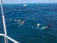 Great day of scuba diving in Key Largo with Rainbow Reef on fire coral cave tropical odyssey 2018 02 18 r5450 1