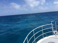 Great day of scuba diving in Key Largo with Rainbow Reef on french reef tropical odyssey 2018 02 12 r5413 1