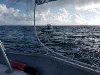 Great day of scuba diving in Key Largo with Rainbow Reef on hole in the wall tropical odyssey 2018 02 08 r5392 1
