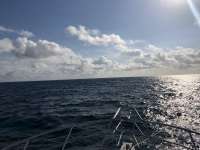 Great day of scuba diving in Key Largo with Rainbow Reef on molasses reef tropical adventure 2018 02 04 r5373 1