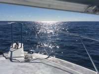 Great day of scuba diving in Key Largo with Rainbow Reef on molasses reef tropical explorer 2018 02 16 r5432 1
