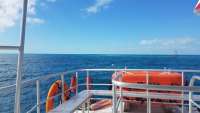 Great day of scuba diving in Key Largo with Rainbow Reef on molasses reef tropical legend 2018 02 01 r5353 1