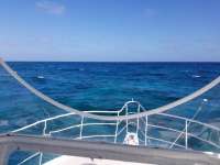 Great day of scuba diving in Key Largo with Rainbow Reef on molasses reef tropical legend 2018 02 12 r5414 1