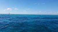 Great day of scuba diving in Key Largo with Rainbow Reef on molasses reef tropical legend 2018 02 15 r5429 1