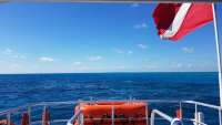 Great day of scuba diving in Key Largo with Rainbow Reef on molasses reef tropical legend 2018 02 18 r5451 1