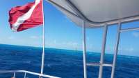 Great day of scuba diving in Key Largo with Rainbow Reef on molasses reef tropical legend 2018 02 23 r5455 1