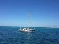 Great day of scuba diving in Key Largo with Rainbow Reef on molasses reef tropical legend 2018 02 27 r5470 1