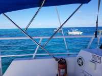Great day of scuba diving in Key Largo with Rainbow Reef on north star tropical adventure 2018 02 15 r5428 1