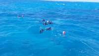 Great day of scuba diving in Key Largo with Rainbow Reef on sand island tropical adventure 2018 02 14 r5418 1