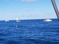 Great day of scuba diving in Key Largo with Rainbow Reef on spanish anchor tropical legend 2018 02 16 r5438 1