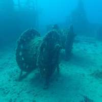 Great day of scuba diving in Key Largo with Rainbow Reef on spiegel grove tropical adventure 2018 02 10 r5405 1