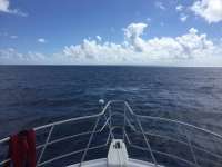 Great day of scuba diving in Key Largo with Rainbow Reef on spiegel grove tropical adventure 2018 02 17 r5441 1