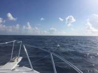 Great day of scuba diving in Key Largo with Rainbow Reef on spiegel grove tropical explorer 2018 02 08 r5393 1