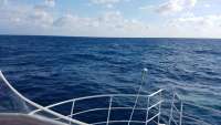 Great day of scuba diving in Key Largo with Rainbow Reef on spiegel grove tropical odyssey 2018 02 03 r5365 1