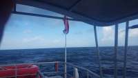 Great day of scuba diving in Key Largo with Rainbow Reef on spiegel grove tropical odyssey 2018 02 11 r5409 1