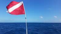 Great day of scuba diving in Key Largo with Rainbow Reef on spiegel grove tropical odyssey 2018 02 13 r5415 1