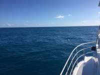 Great day of scuba diving in Key Largo with Rainbow Reef on spiegel grove tropical odyssey 2018 02 15 r5425 1