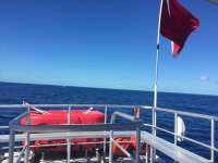 Great day of scuba diving in Key Largo with Rainbow Reef on spiegel grove tropical odyssey 2018 02 16 r5435 1