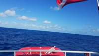 Great day of scuba diving in Key Largo with Rainbow Reef on spiegel grove tropical odyssey 2018 02 25 r5460 1