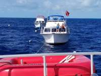 Great day of scuba diving in Key Largo with Rainbow Reef on spiegel grove tropical odyssey 2018 02 28 r5475 1