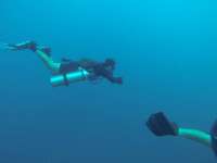 Great day of scuba diving in Key Largo with Rainbow Reef on uscgc duane tropical odyssey 2018 02 18 r5445 1