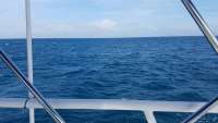 Great day of scuba diving in Key Largo with Rainbow Reef on benwood wreck tropical adventure 2018 01 15 r5310 1