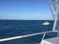 Great day of scuba diving in Key Largo with Rainbow Reef on benwood wreck tropical legend 2018 01 14 r5300 1
