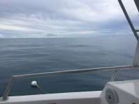 Great day of scuba diving in Key Largo with Rainbow Reef on christ statue tropical odyssey 2018 01 09 r5273 1
