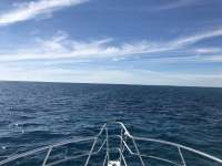 Great day of scuba diving in Key Largo with Rainbow Reef on christmastree cave tropical adventure 2018 01 01 r5239 1