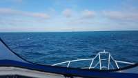 Great day of scuba diving in Key Largo with Rainbow Reef on eagle ray alley tropical adventure 2018 01 15 r5306 1
