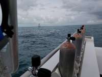 Great day of scuba diving in Key Largo with Rainbow Reef on eagle ray alley tropical legend 2018 01 10 r5276 1